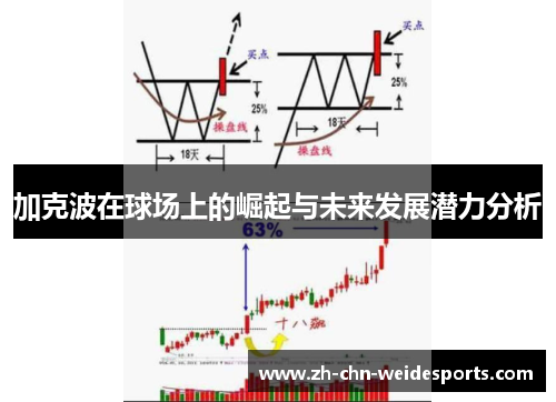 加克波在球场上的崛起与未来发展潜力分析